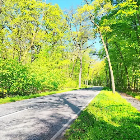 Prázdninový dům Im Gruenen Senzig Königs Wusterhausen