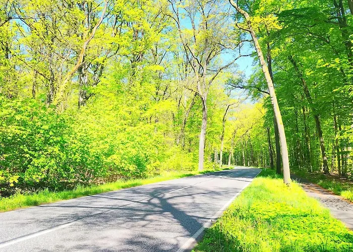 בית נופש Im Gruenen Senzig Königs Wusterhausen